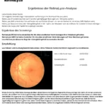 RetinaLyze Screening Ergebnisse